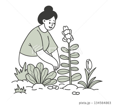 Happy Gardening Woman with Plants and Flowers in Garden. Minimalist Doodle hand drawing of Girl Gardener. Vector illustration. Not AI Happy Gardening Woman with Plants and Flowers in Garden. Minimalist Doodle hand drawing of Girl Gardener. Vector illustration. Not AI 134564863