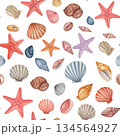 貝殻・ヒトデのカラフル水彩パターン 134564927