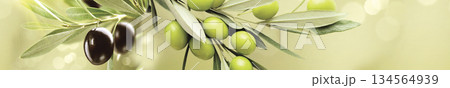 Fresh green and black olives on a branch with leaves in a sunny Mediterranean garden Fresh green and black olives on a branch with leaves in a sunny Mediterranean garden 134564939