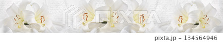 White lily floral panorama with soft petals, gentle light and handwritten script background, elegant decorative skinali panel for interior wall art White lily floral panorama with soft petals, gentle light and handwritten script background, elegant decorative skinali panel for interior wall art 134564946