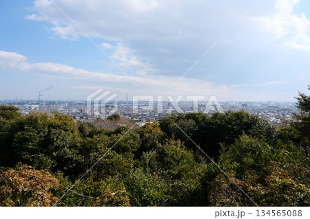 三重県四日市市_垂坂公園展望台からの景色7_2025年2月 三重県四日市市_垂坂公園展望台からの景色7_2025年2月 134565088