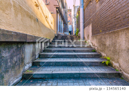 日本の東京都市景観 伝統とモダンが交差する…情緒漂う街。情緒あふれる神楽坂。兵庫横丁などを望む 134565140