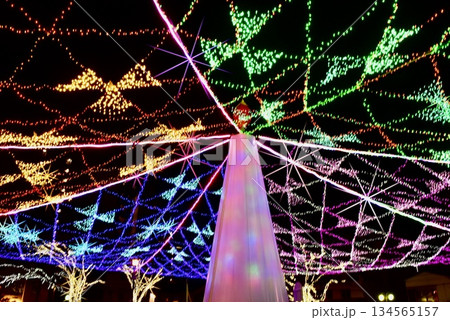 周南ツリー祭り2025青空公園-6 134565157