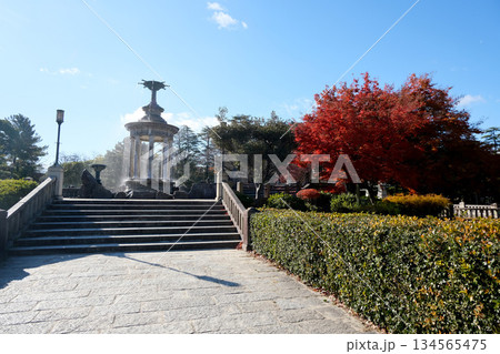 愛知県名古屋市_鶴舞公園17_2024年12月 134565475