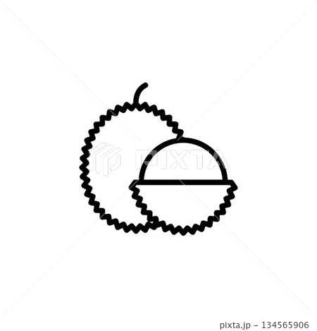 lychee vector icon. fruit icon outline style. perfect use for icon, logo, illustration, website, and more. icon design line style 134565906