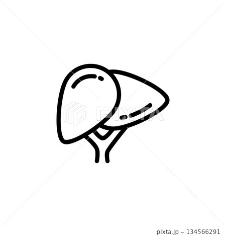 liver vector icon. medicine icon outline style. perfect use for logo, presentation, website, and more. simple modern icon design line style 134566291