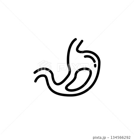 stomach vector icon. medicine icon outline style. perfect use for logo, presentation, website, and more. simple modern icon design line style 134566292