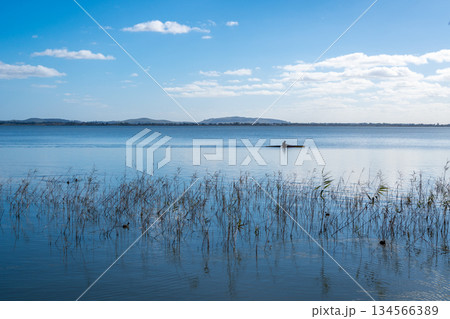 Kayaker paddling on Lake Colac, Victoria, Australia 134566389