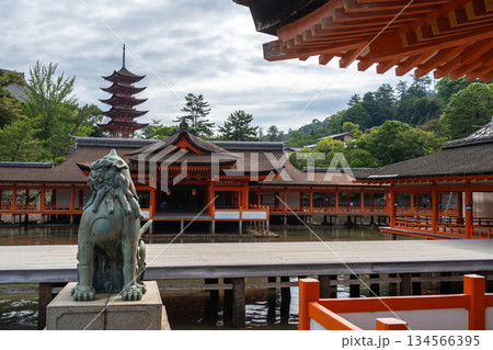 View of Itsukushima Shrine and pagoda on Miyajima island, Japan 134566395