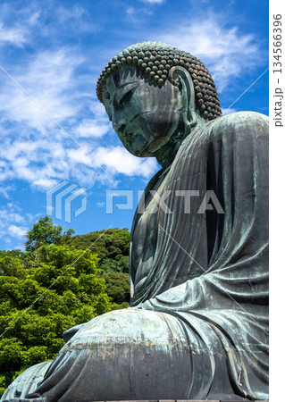Great Buddha statue close-up view at Kotoku-in temple in Kamakura, Japan 134566396