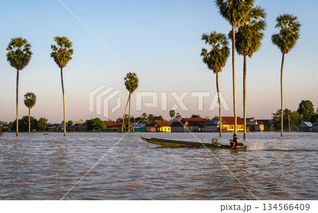 Bugis fisherman's boat at sunset on Lake Tempe, Sulawesi, Indonesia 134566409