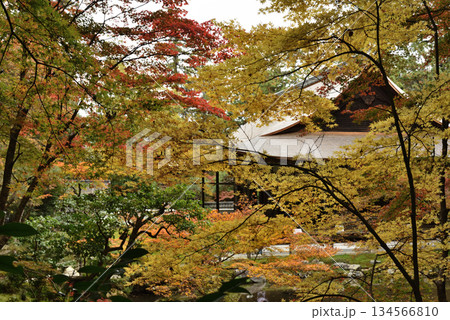 秋の南禅院　方丈庭園(京都市左京区) 134566810