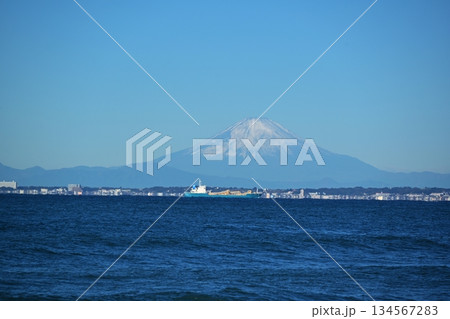 金谷港からの富士山 千葉 金谷港からの富士山 千葉 134567283