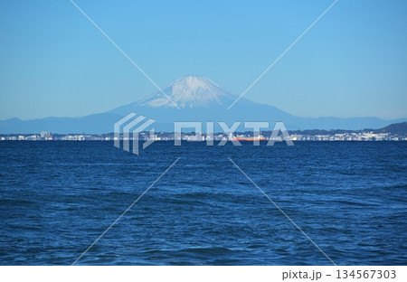 金谷港からの富士山 千葉 金谷港からの富士山 千葉 134567303