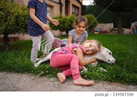 Children happily playing with a dog in a sunny garden 134567380