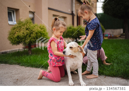 Children joyfully interacting with a friendly dog in the garden 134567381