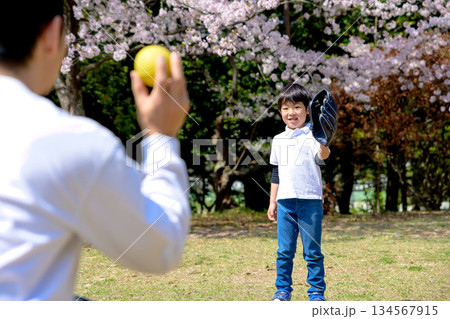 公園でキャッチボールする親子　 134567915