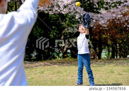 公園でキャッチボールする親子　 134567916