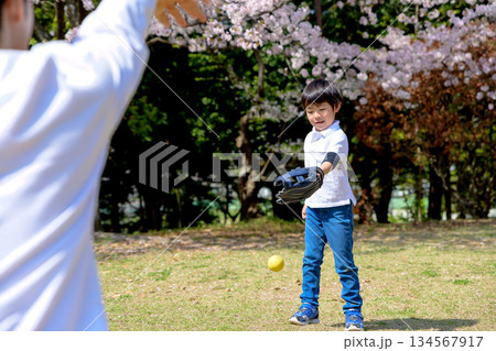 公園でキャッチボールする親子 公園でキャッチボールする親子 134567917