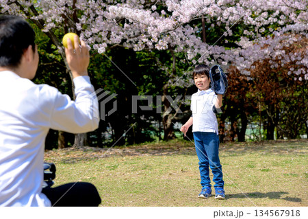 公園でキャッチボールする親子 公園でキャッチボールする親子 134567918