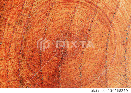 Cross-section of wood trunk with visible tree rings and rich orange grain texture. Natural background representing age, growth, organic nature. Copy space 134568259