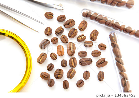 Coffee science concept roasted beans in test tubes with inspection tools for research and evaluation 134568455