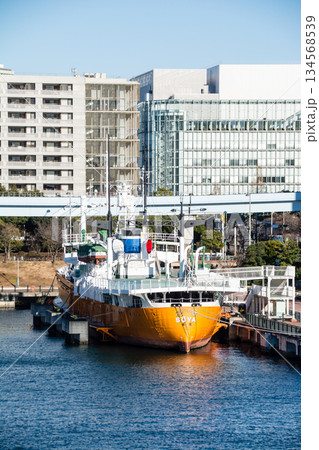 お台場の港に停泊する貨物船と遠くに見れるビル群 134568539