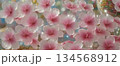 soft pink petals on walkway, gentle pink petal spread creates idyllic outdoor setting with shimmering lights 134568912