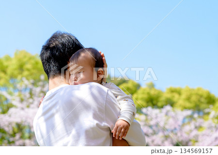 桜満開の家族イメージ　父親に抱っこされて眠る赤ちゃん　 134569157