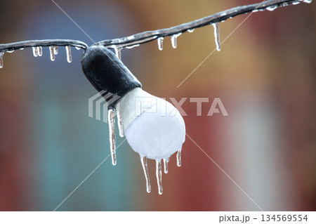 A single light bulb encased in ice, with icicles forming on a wire A single light bulb encased in ice, with icicles forming on a wire 134569554