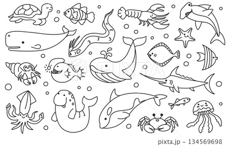 Sea animal doodle, line fish and marine creature, ocean cartoon underwater sketch. Octopus and seahorse, dolphin and turtle, whale and lobster, shark and crab aquatic undersea funny vector set Sea animal doodle, line fish and marine creature, ocean cartoon underwater sketch. Octopus and seahorse, dolphin and turtle, whale and lobster, shark and crab aquatic undersea funny vector set 134569698