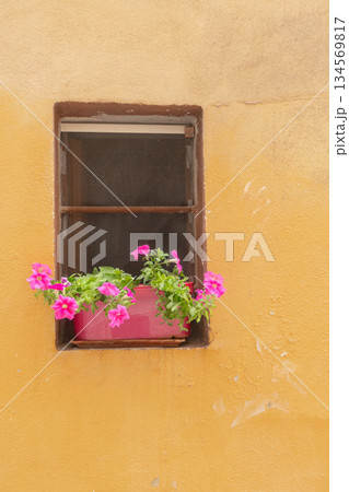 Cozy window with flowers on yellow wall. Minimal European facade detail 134569817