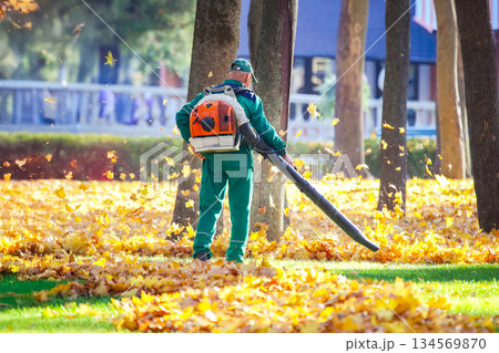 Worker uses leaf blower to clear fallen leaves in a park during autumn Worker uses leaf blower to clear fallen leaves in a park during autumn 134569870