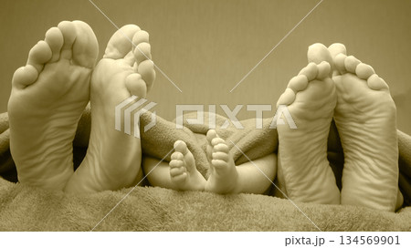 Family bonding moments captured through feet nestled under a soft blanket 134569901