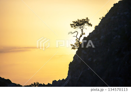 Silhouette of a lone tree on a rocky hillside at sunset in a tranquil landscape Silhouette of a lone tree on a rocky hillside at sunset in a tranquil landscape 134570113