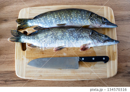 Two raw pikes on a cutting board with a knife. Fresh fish for cutting and cooking. 134570316