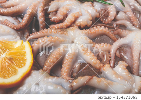 Fresh baby octopuses on ice, garnished with lemon and rosemary, on a marble table, no people, Fresh baby octopuses on ice, garnished with lemon and rosemary, on a marble table, no people, 134571065