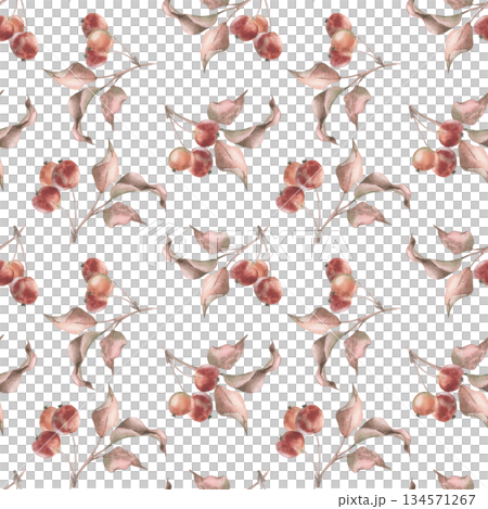 Autumn botanical watercolor seamless pattern with crab apple sprigs and dried leaves. Hand painted autumn design in vintage style. October seasonal decor with herbarium for forest themed packaging. Autumn botanical watercolor seamless pattern with crab apple sprigs and dried leaves. Hand painted autumn design in vintage style. October seasonal decor with herbarium for forest themed packaging. 134571267