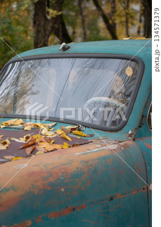 Weathered vintage car windshield with peeling turquoise paint is covered with yellow autumn leaves in a quiet forest setting Weathered vintage car windshield with peeling turquoise paint is covered with yellow autumn leaves in a quiet forest setting 134571379