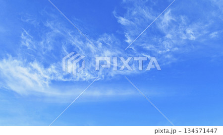 木枯らしイメージ　16:9（ fix撮影 ） 134571447