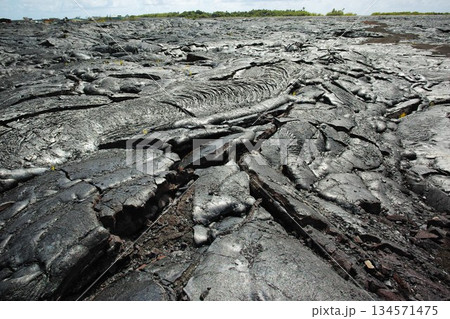 ハワイ島の黒い大地 134571475