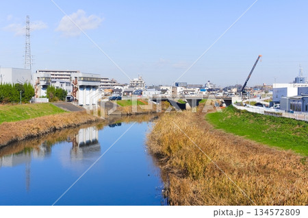 埼玉県川口市芝川サイクリングロード沿線2025年12月 134572809