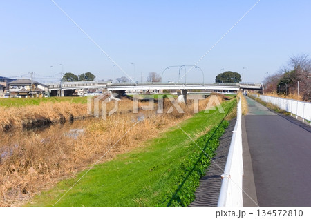 埼玉県川口市芝川サイクリングロード沿線2025年12月 134572810