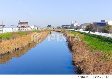 埼玉県川口市芝川サイクリングロード沿線2025年12月 134572818