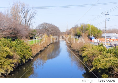 埼玉県川口市芝川サイクリングロード沿線2025年12月 134572820