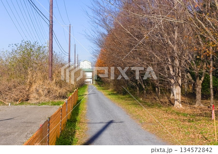 埼玉県川口市芝川第一調節池周辺2025年12月 134572842