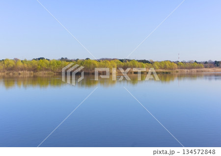 埼玉県川口市芝川第一調節池周辺2025年12月 134572848