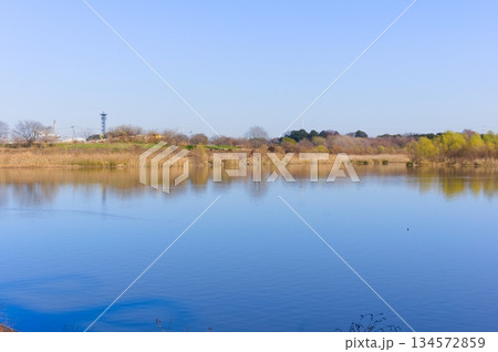 埼玉県川口市芝川第一調節池周辺2025年12月 134572859