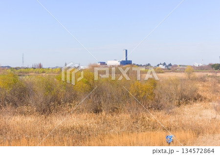 埼玉県川口市芝川第一調節池周辺2025年12月 134572864