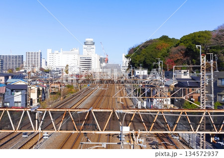 千葉県松戸市松戸駅周辺2025年12月 千葉県松戸市松戸駅周辺2025年12月 134572937